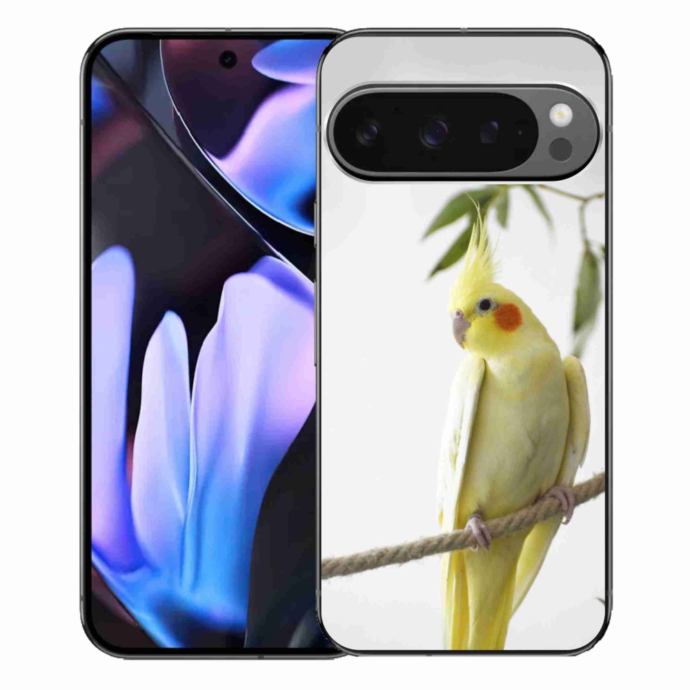 mmCase gél tok a Google Pixel 9 Pro XL-hez – tollas papagáj