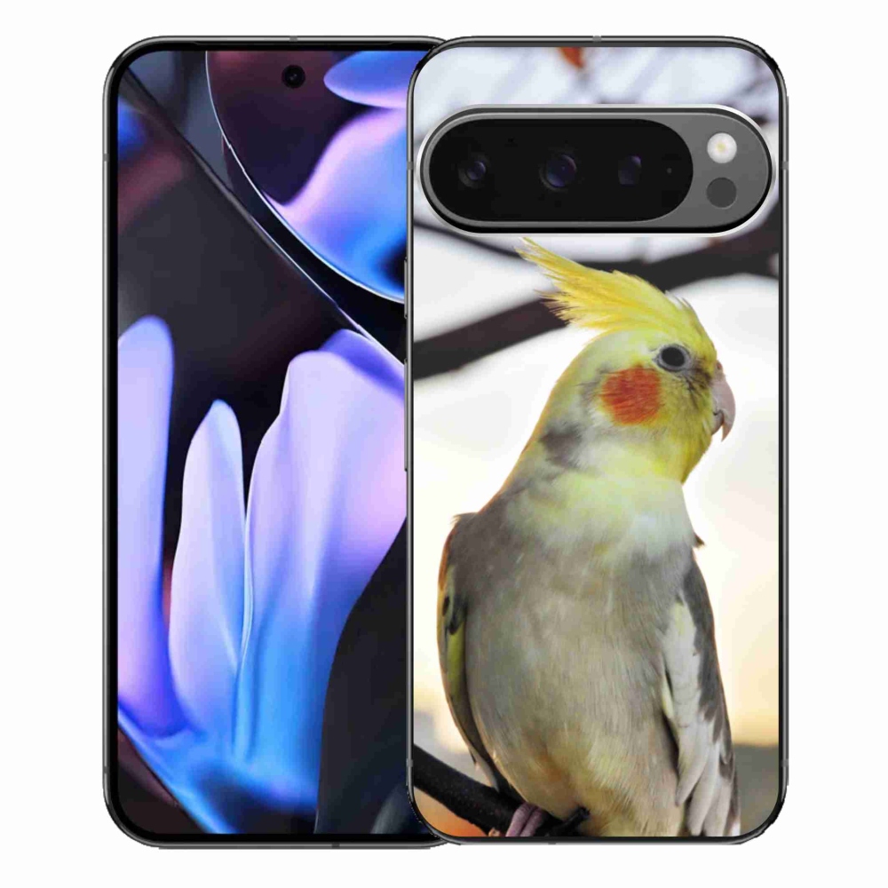 Gél borítás mmCase a Google Pixel 9 Pro XL-hez - papagáj korela