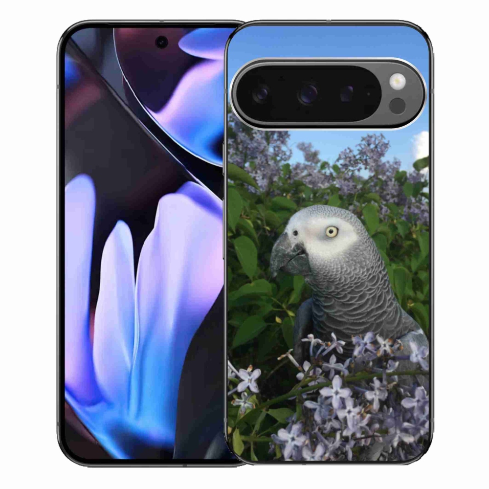 Gél borítás mmCase a Google Pixel 9 Pro XL-hez - papagáj jacco