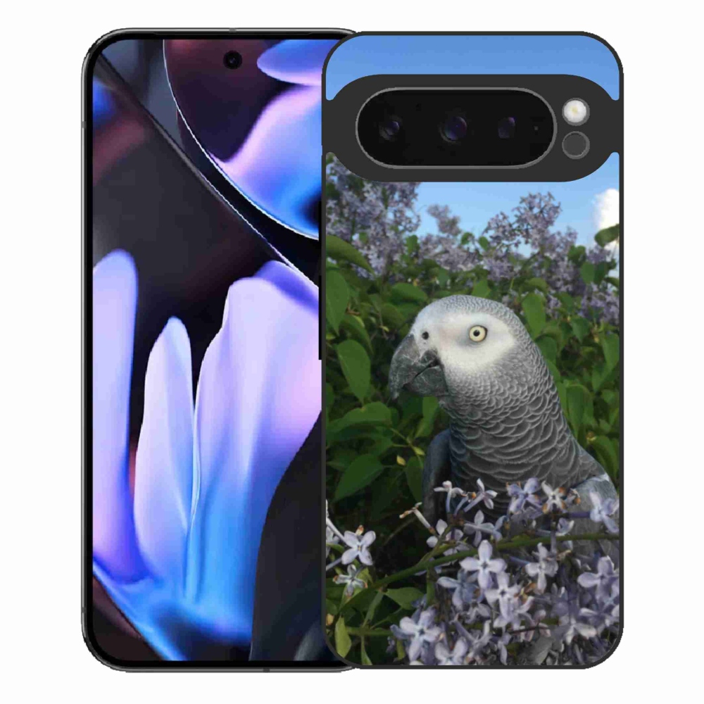 Gél borítás mmCase a Google Pixel 9 Pro XL-hez - papagáj jacco