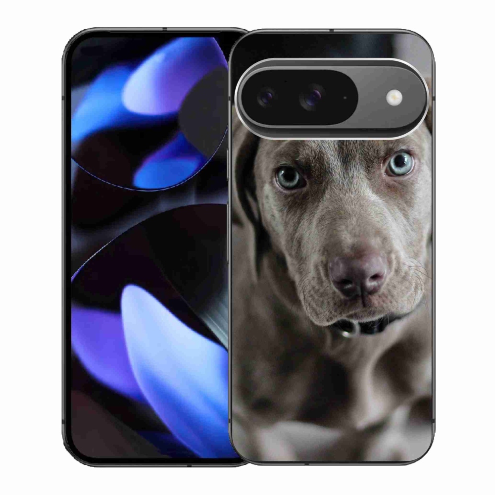 Gél borítás mmCase a Google Pixel 9-hez - Weimaraner