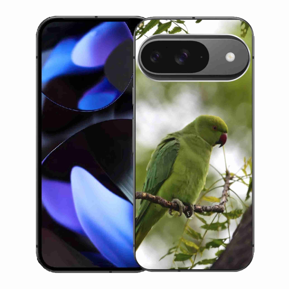 Gél borítás mmCase a Google Pixel 9-hez - zöld papagáj