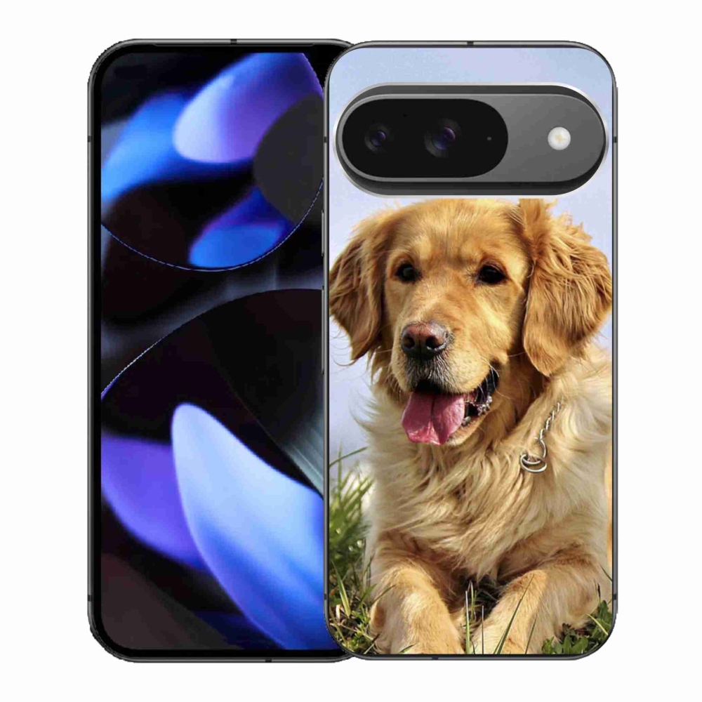 Gél borítás mmCase a Google Pixel 9-hez - arany retriever