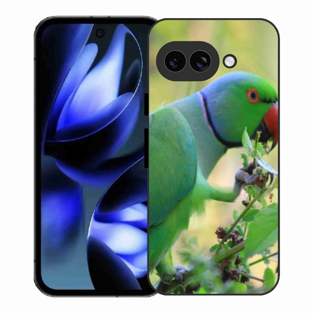 Gél borítás mmCase a Google Pixel 9a készülékhez - papagáj alexandr