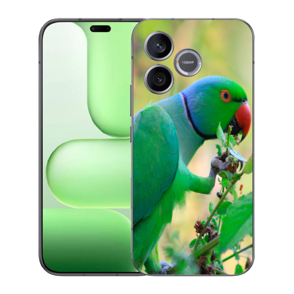 mmCase géltok a Honer 600 Lite-hez – alexandri papagáj