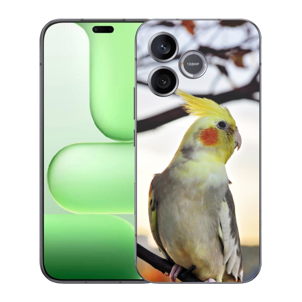 mmCase géltok a Honer 600 Lite-hoz – korella papagáj