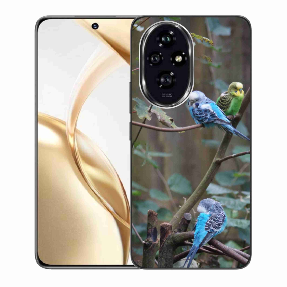 mmCase géltok az Honor 200 5G-hez – papagájok az ágon