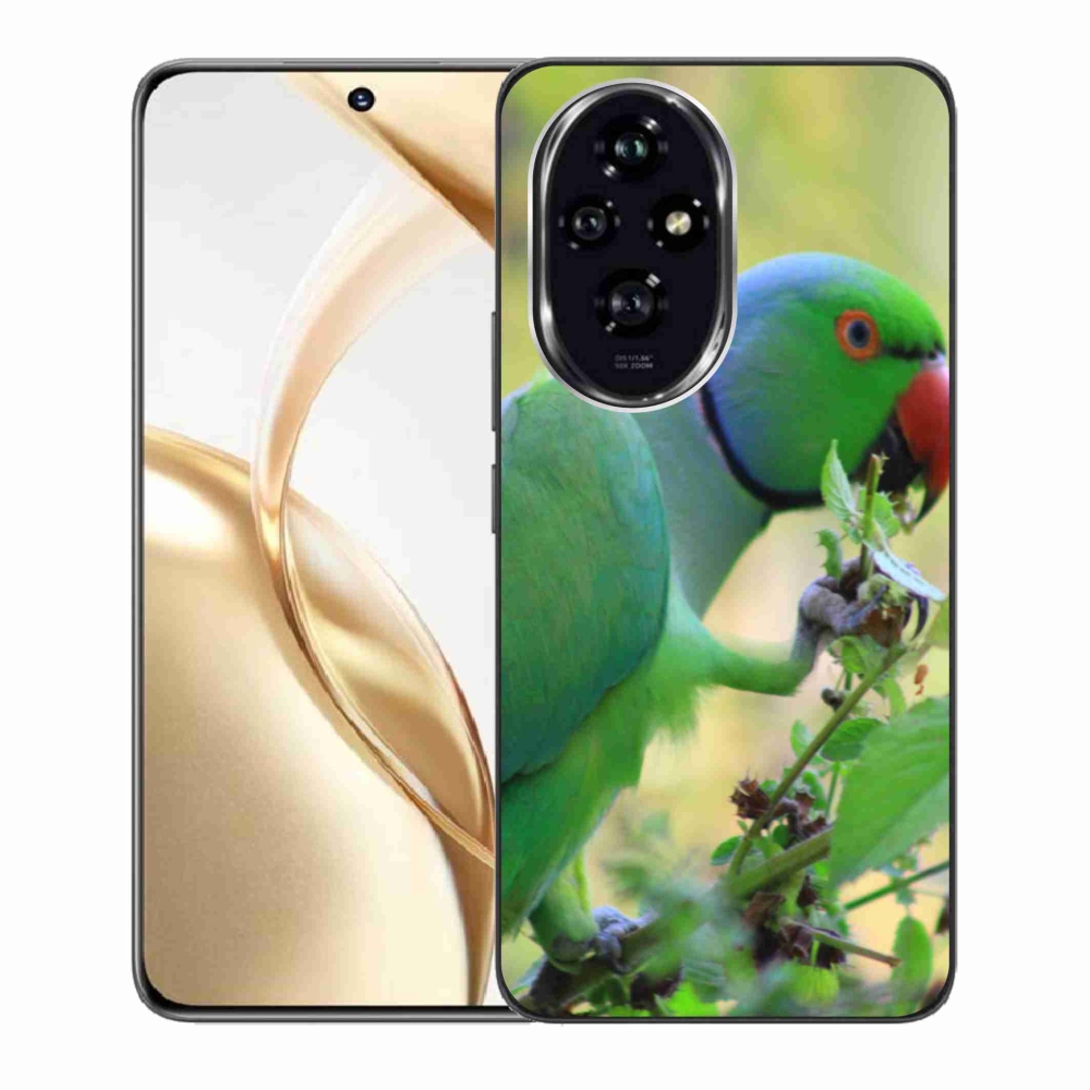 Zselés borítás mmCase a Honor 200 5G készülékhez - papagáj alexandr
