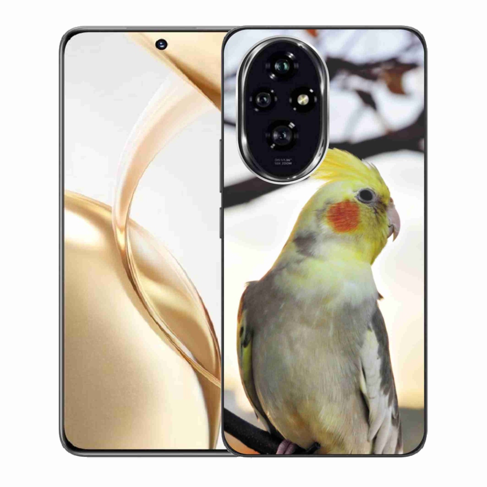 Zselés borítás mmCase a Honor 200 5G készülékhez - papagáj korela