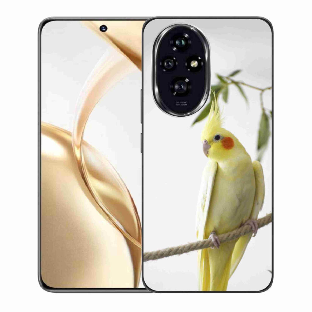 mmCase géltok az Honor 200 5G-hez – tollas papagáj