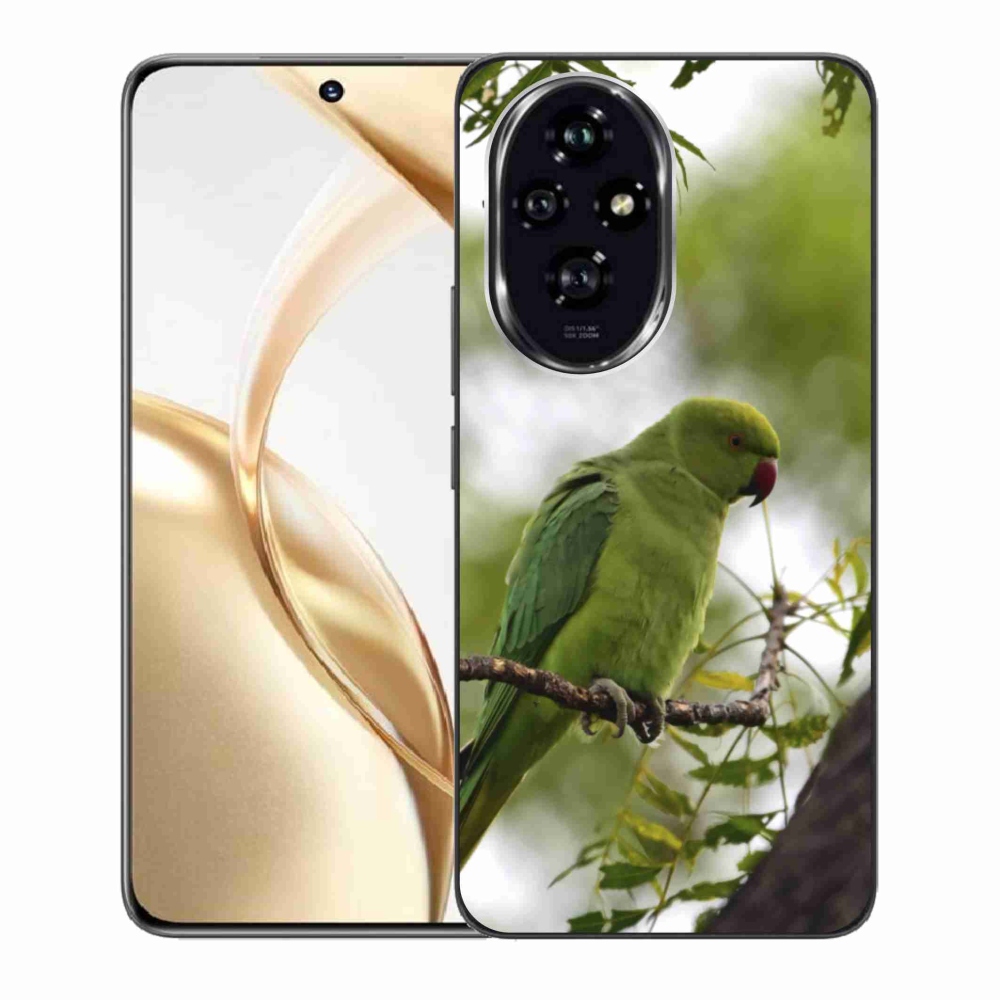 Zselés borítás mmCase a Honor 200 5G készülékhez - zöld papagáj