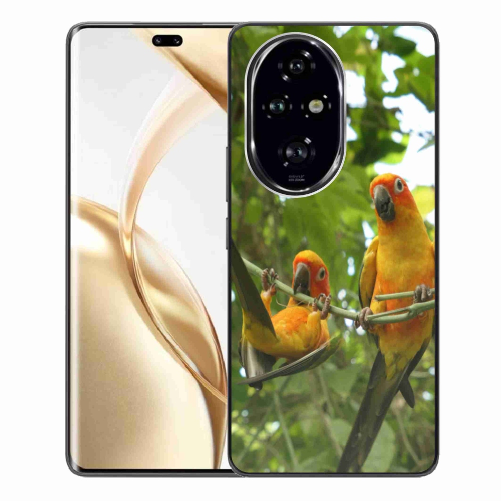 Zselés borítás mmCase a Honor 200 Pro 5G számára - papagájok aratingy