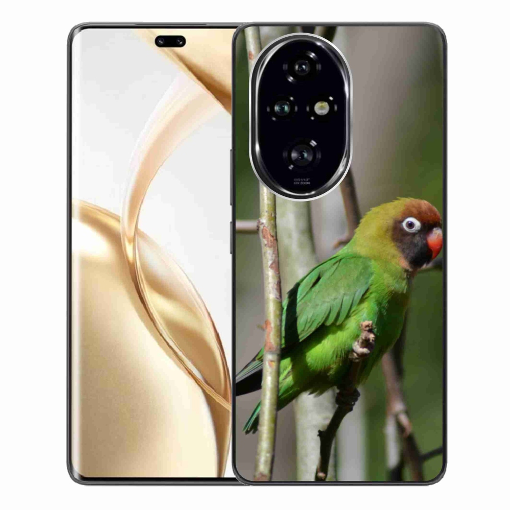 Zselés borítás mmCase a Honor 200 Pro 5G készülékhez - papagáj agapornis