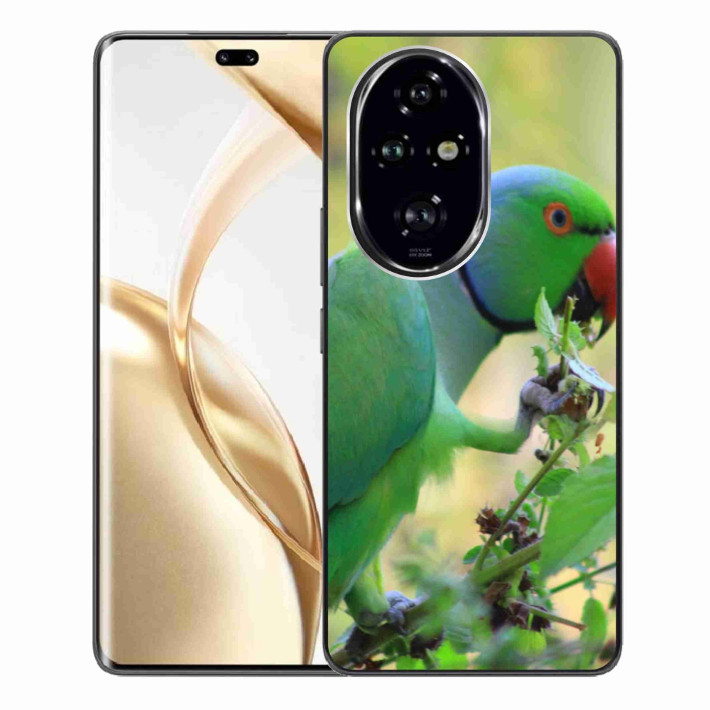 Zselés borítás mmCase a Honor 200 Pro 5G készülékhez - papagáj alexandr