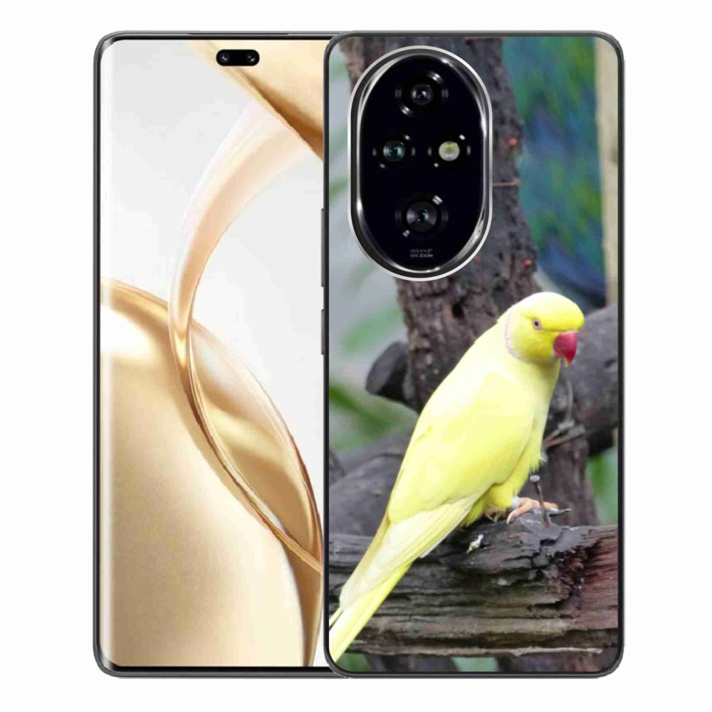 Zselés borítás mmCase a Honor 200 Pro 5G készülékhez - papagáj alexander sárga