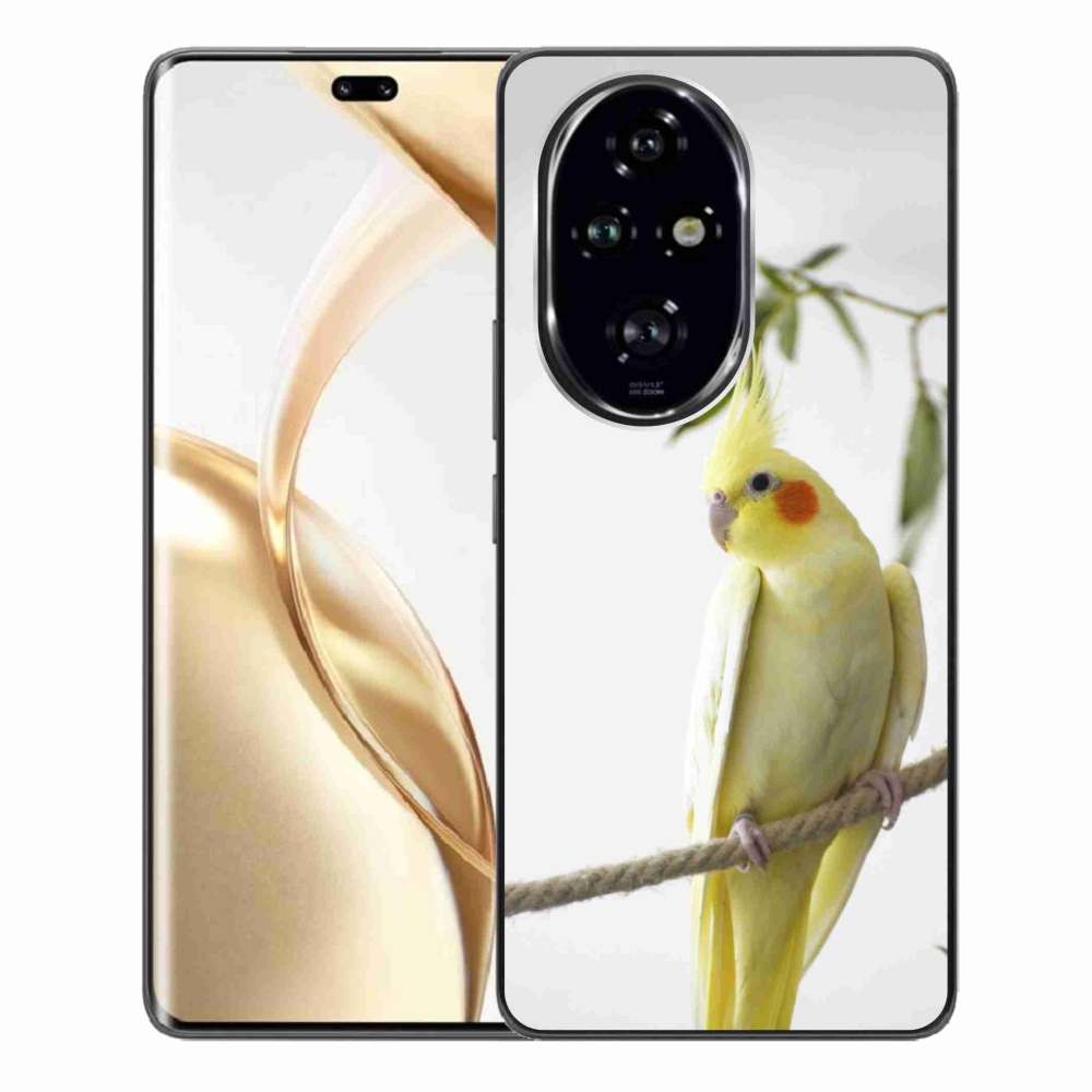 mmCase géltok az Honor 200 Pro 5G-hez – tollas papagáj