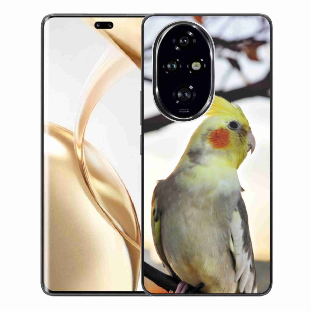 Zselés borítás mmCase a Honor 200 Pro 5G készülékhez - papagáj korela