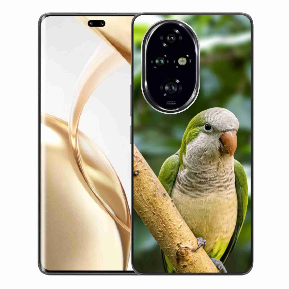 Zselés borítás mmCase a Honor 200 Pro 5G készülékhez - papagáj