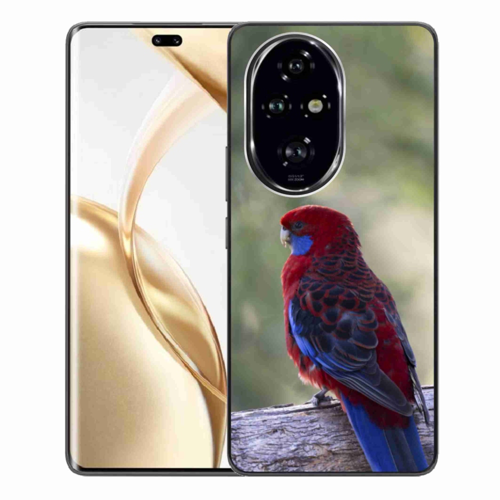 Zselés borítás mmCase a Honor 200 Pro 5G készülékhez - papagáj rosela