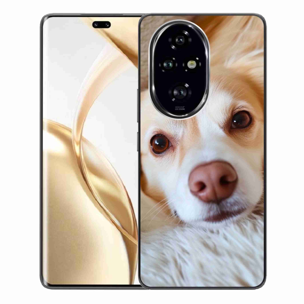 mmCase gél tok az Honor 200 Pro 5G-hez – Aranyos csivava