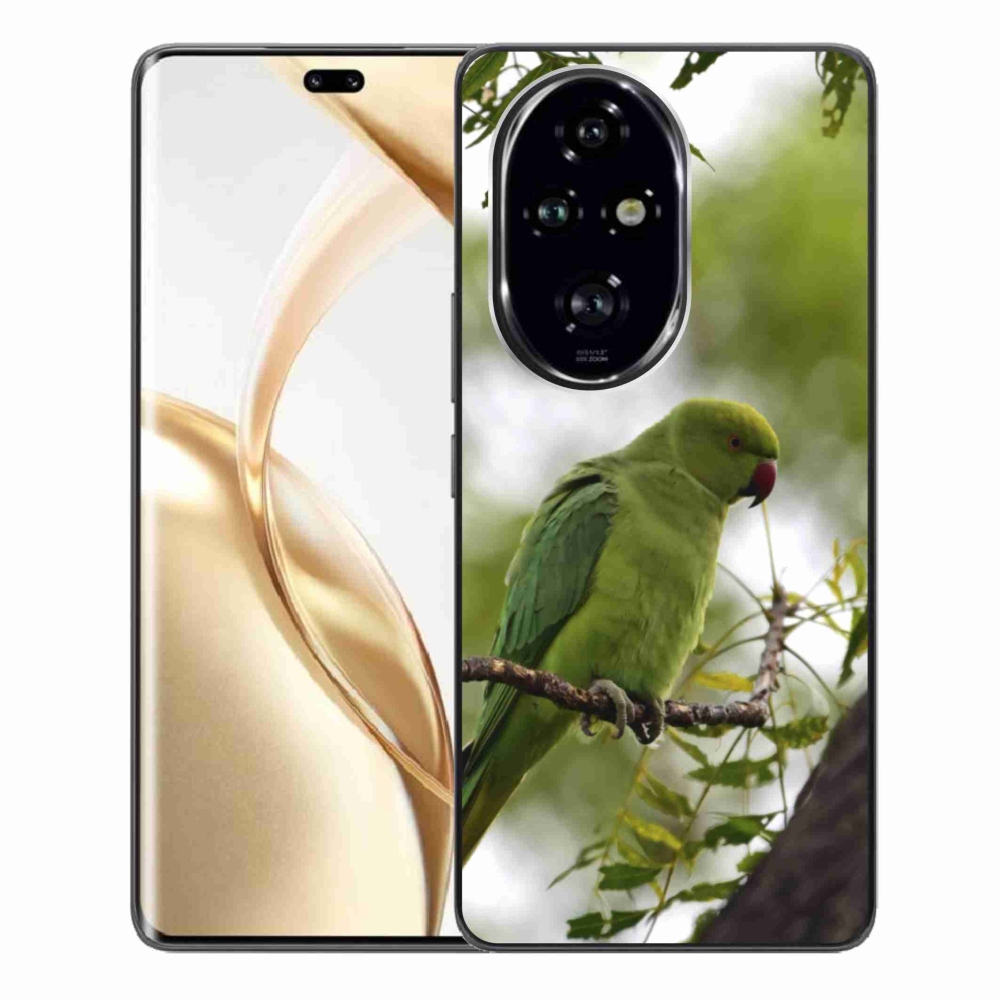 Zselés borítás mmCase a Honor 200 Pro 5G készülékhez - zöld papagáj