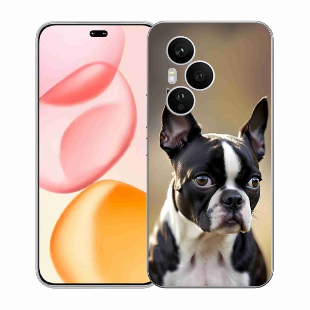 mmCase géltok az Honor 400 Pro-hoz – bostoni terrier