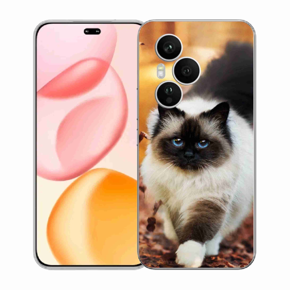 Zselés borítás mmCase a Honor 400 Pro-hoz - cat