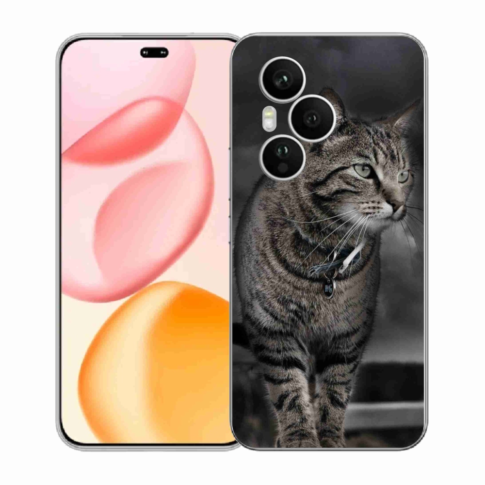 Zselés borítás mmCase a Honor 400 Pro-hoz - cat