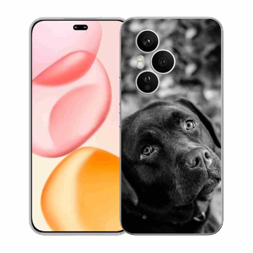 Zselés borítás mmCase a Honor 400 Pro-hoz - labrador