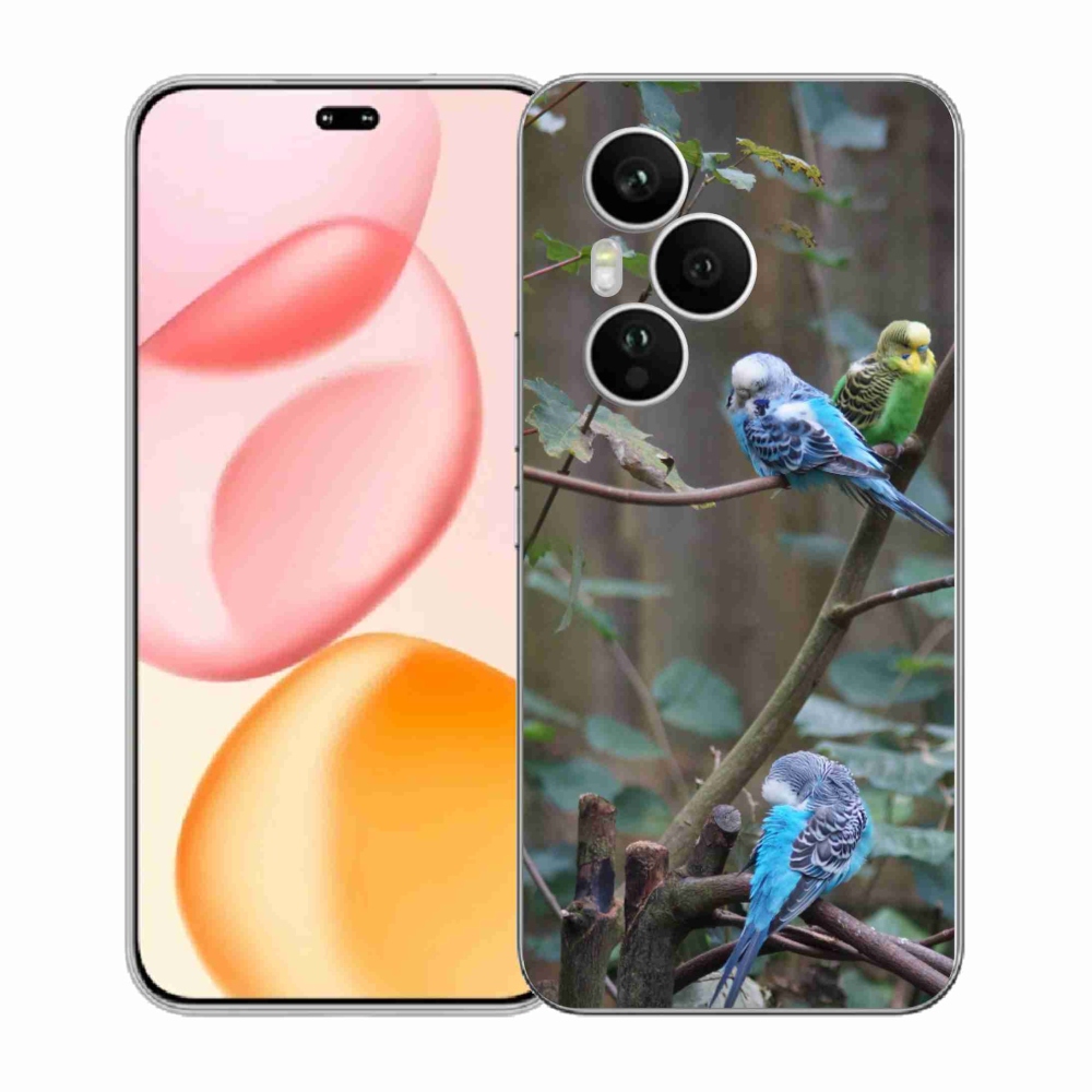 mmCase géltok az Honor 400 Pro-hoz – papagájok az ágon