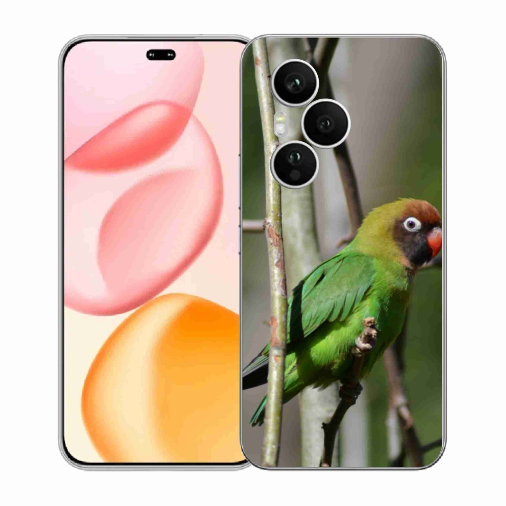 Zselés borítás mmCase a Honor 400 Pro-hoz - papagáj agapornis