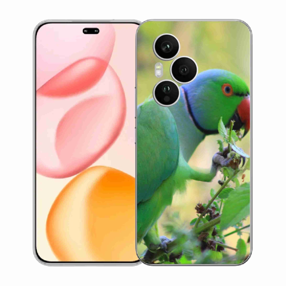 Zselés borítás mmCase a Honor 400 Pro-hoz - papagáj alexandr
