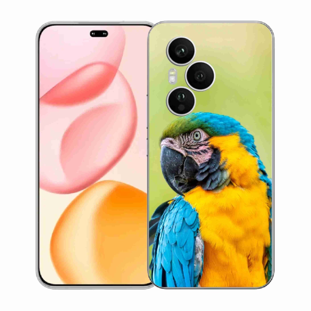 Zselés borítás mmCase a Honor 400 Pro-hoz - papagáj ara 2