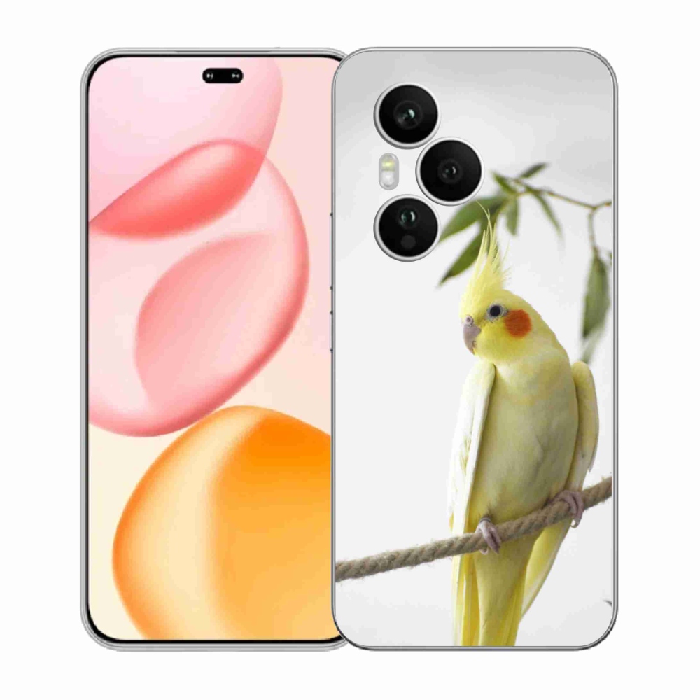 mmCase géltok az Honor 400 Pro-hoz – tollas papagáj