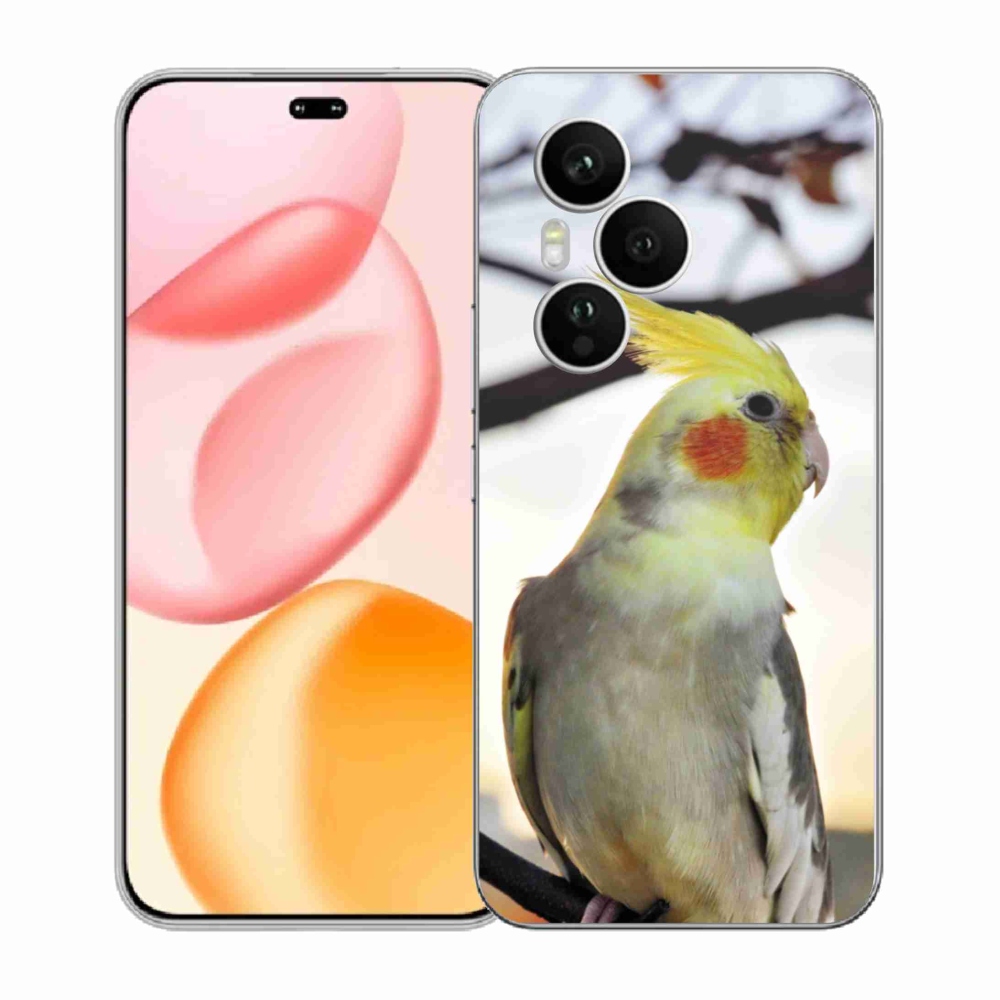 Zselés borítás mmCase a Honor 400 Pro-hoz - papagáj korela