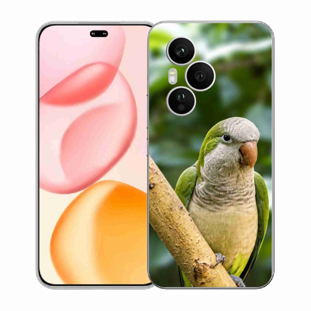 Zselés borítás mmCase a Honor 400 Pro-hoz - papagáj