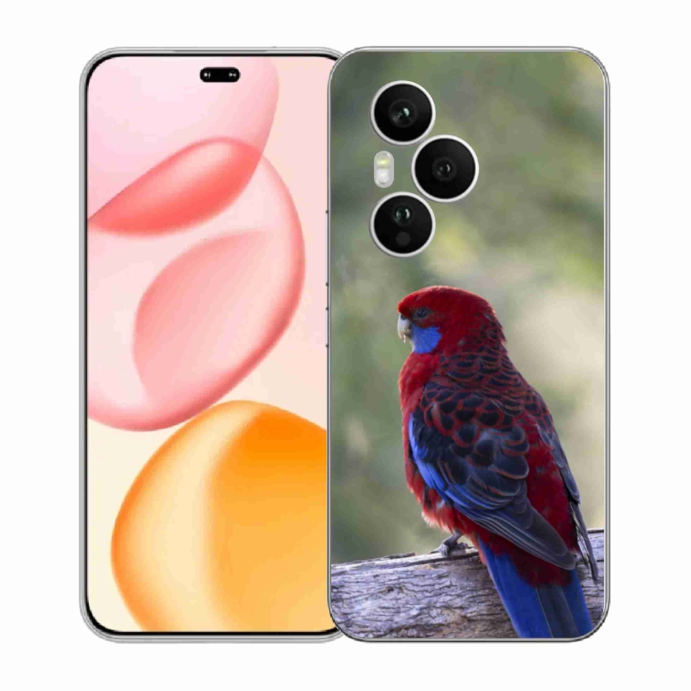 Zselés borítás mmCase a Honor 400 Pro-hoz - papagáj rosela