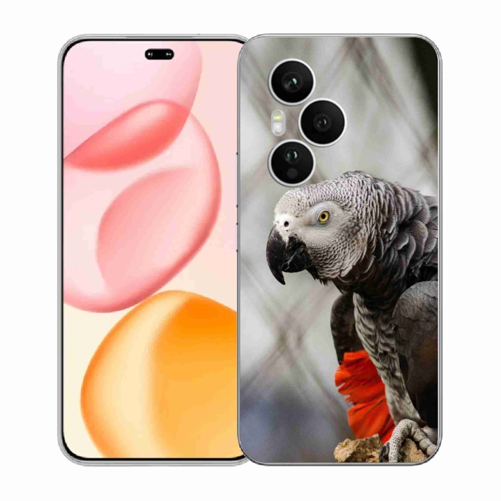 mmCase géltok az Honor 400 Pro-hoz – szuka papagáj 3