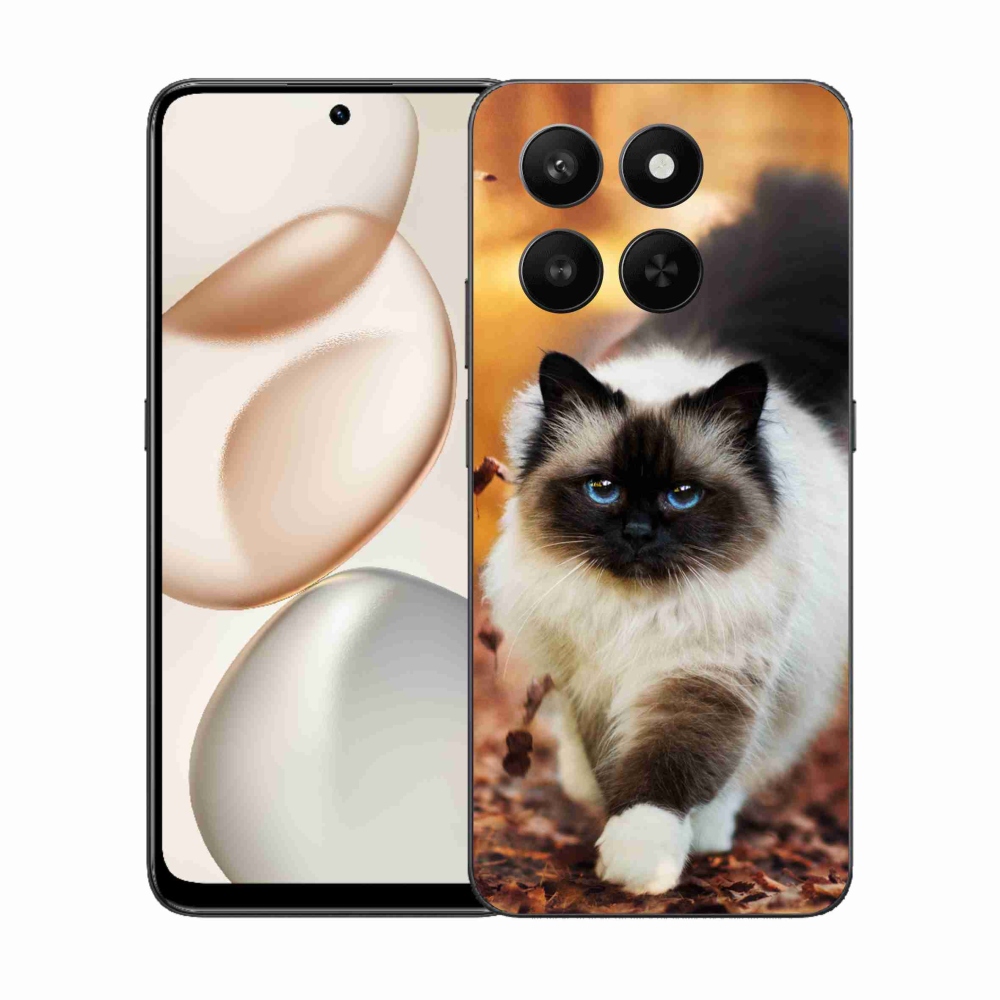 Zselés borítás mmCase a Honor 400 Smart 5G/4G/Honor X7d készülékhez - macska