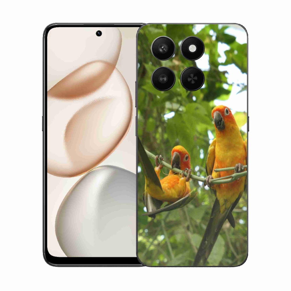 Zselés borítás mmCase a Honor 400 Smart 5G/4G/Honor X7d készülékhez - papagájok