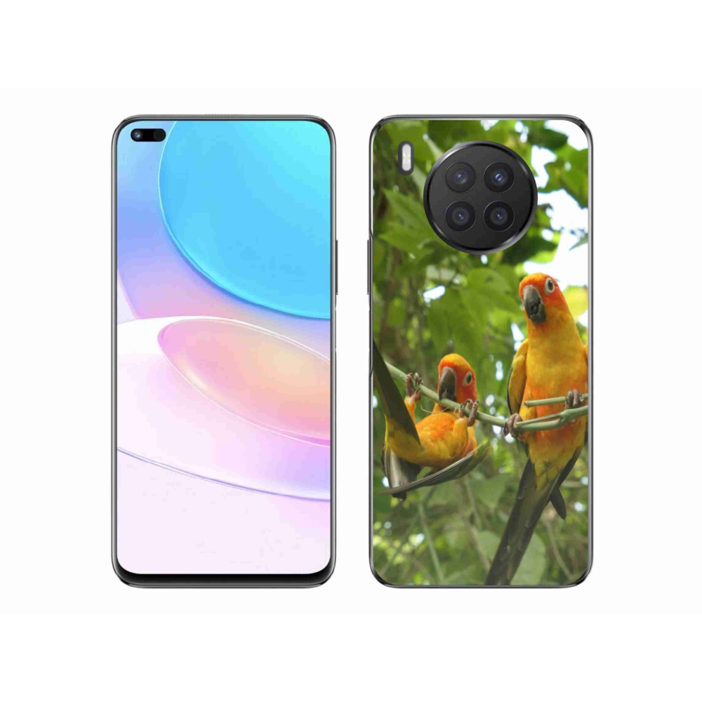 Zselés borítás mmCase a Honor 50 Lite készülékhez - papagájok aratingy