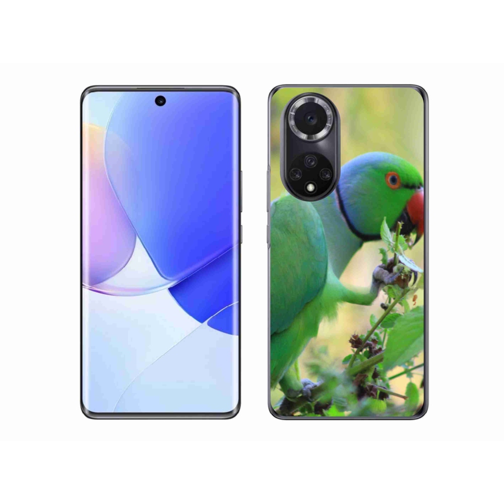 Zselés borítás mmCase Honor 50 - papagáj alexandr számára