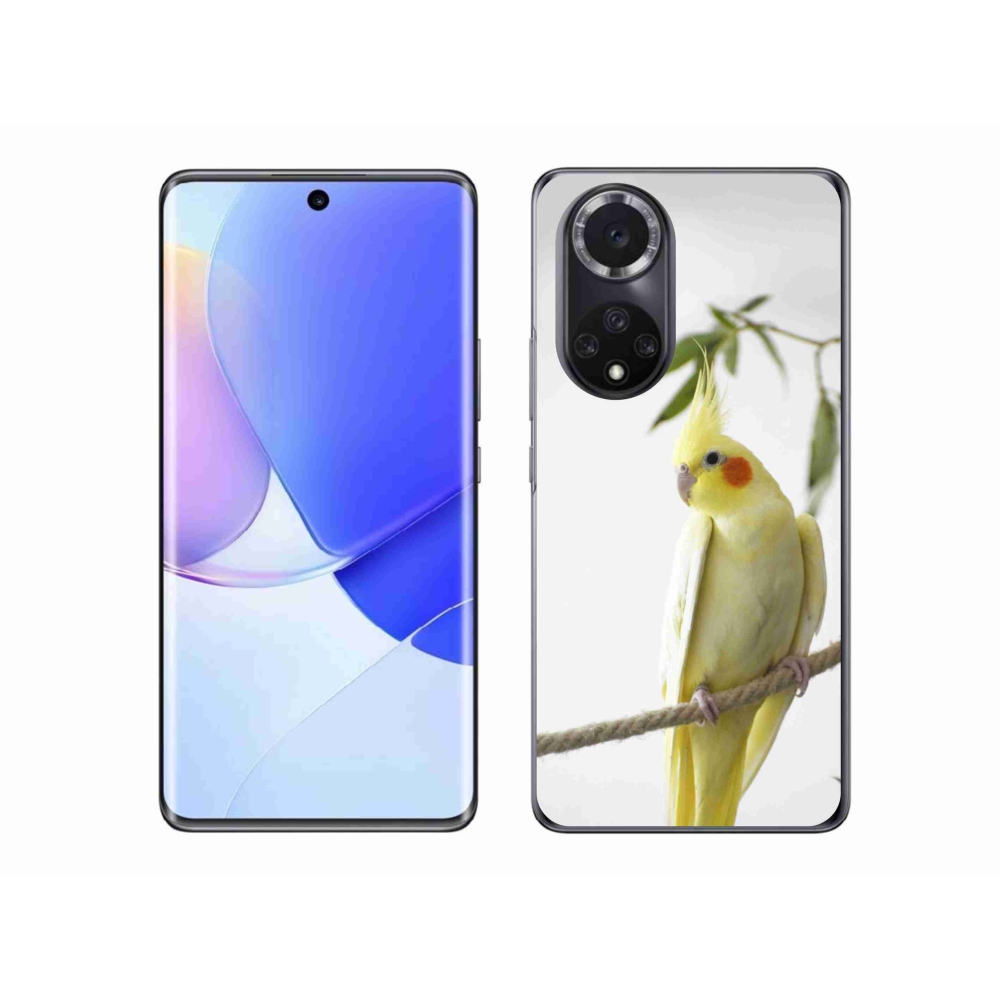 Zselés borító mmCase a Honor 50 - papagáj korela chocholatához