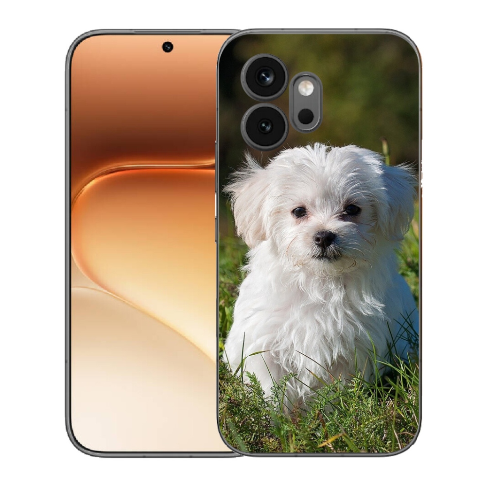mmCase géltok az Honor 600-hoz – bichon frisé