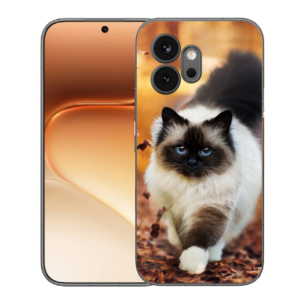 mmCase géltok az Honor 600-hoz – macska