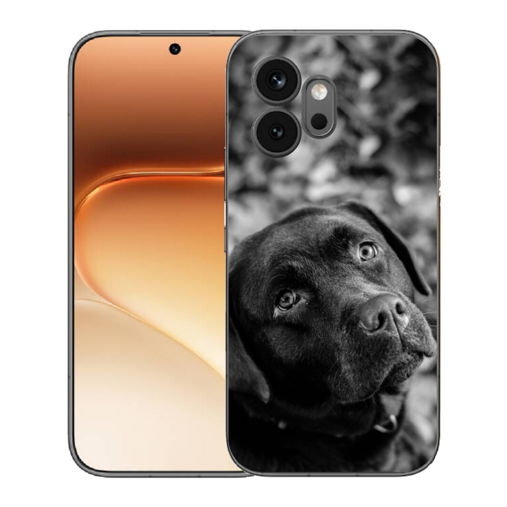 mmCase géltok az Honor 600-hoz – labrador