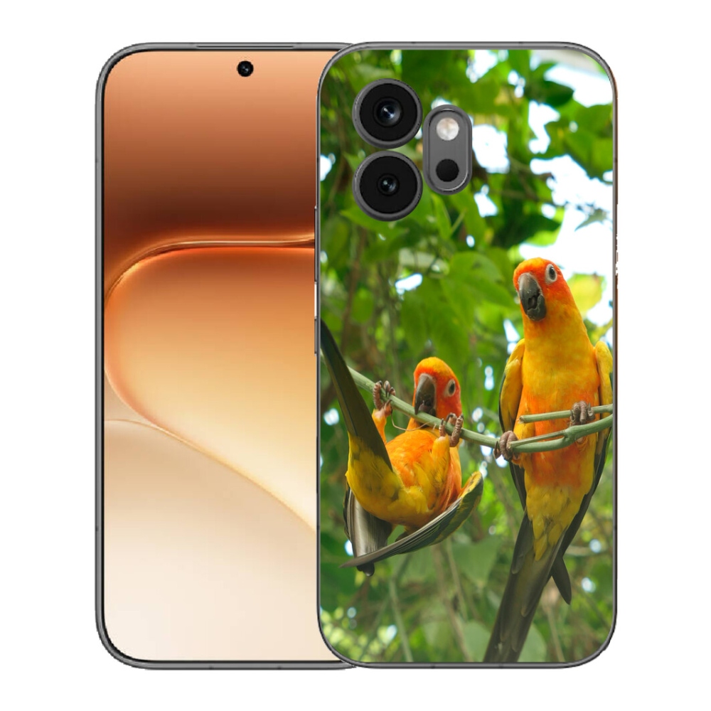 mmCase géltok az Honor 600-hoz – aratinga papagájok