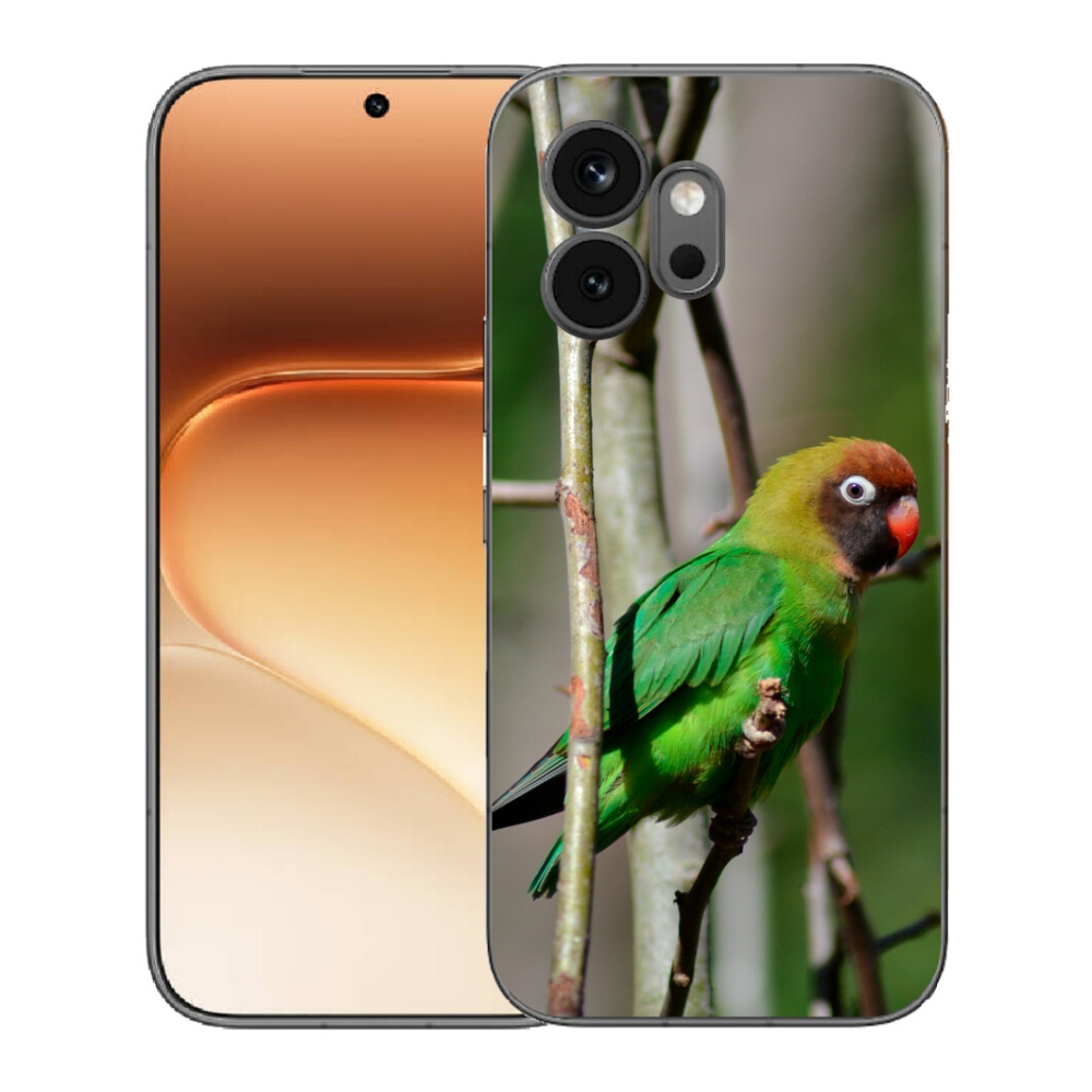 mmCase gélhuzat az Honor 600-hoz – agapornis papagáj