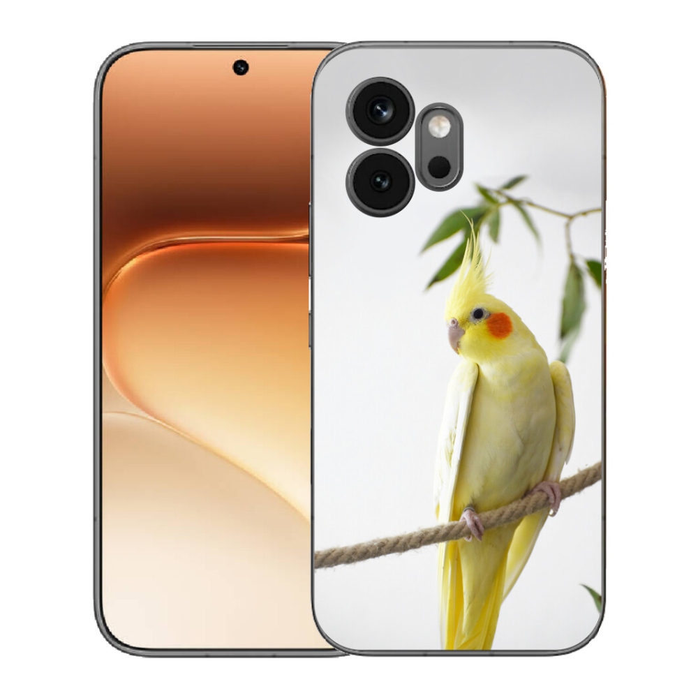 mmCase géltok az Honor 600-hoz – tollas papagáj