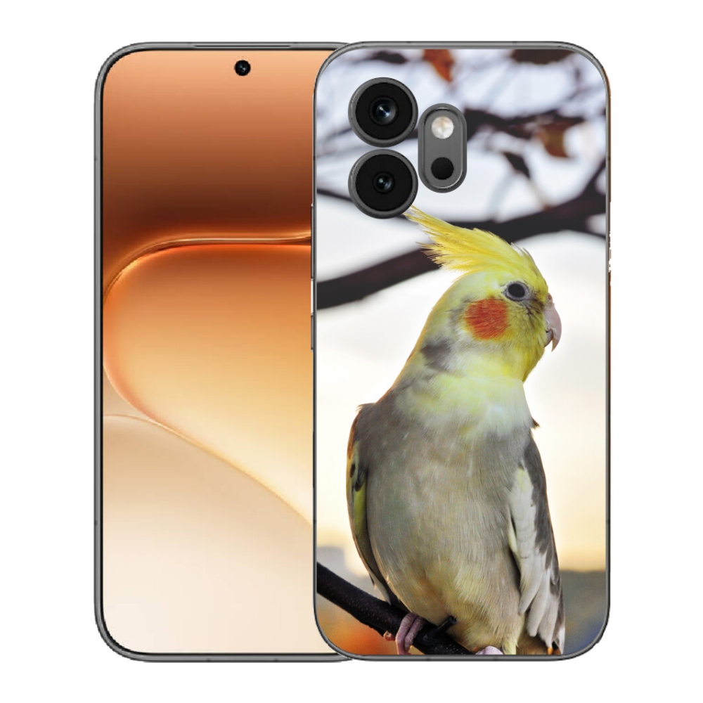 mmCase géltok az Honor 600-hoz – korella papagáj
